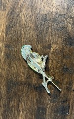Vintage Gerry’s Yellow Green Enamel 🦜Rhinestone Eye Parrot Bird 2″ Brooch Pin