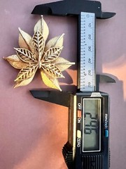 VINTAGE CORO Golden Textured Double Leaf Pin BROOCH ￼2.46”