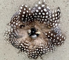 Vintage Real Guinea Bird Feather Brooch Plume Statement Beaded Black White