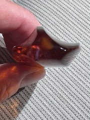Vintage Large Amber Pendant 14g Freeform Shape Marked Bail Marked 333 8K Gold