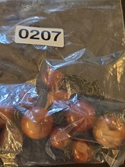 Big Chunky Root Beer Lucite Bead Necklace Graduated Statement 17.5” Length +3″