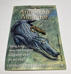 Vintage Gold Tone American Alligator Brooch Pin Endangered Species Collection