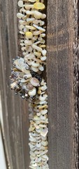 Vintage Statement Necklace Hand Strung Multi Strand Shell Beads Cluster #1