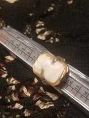 14k Gold Antique Cameo Ring, Shell & Coral, In Original Box, Size 4.75