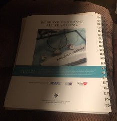 Silpada 2015 Spring/Summer Quick Reference Jewelry Guide RETIRED Great Condition