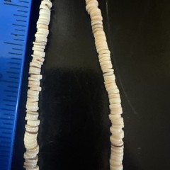 Puka Shell Turquoise Beaded Necklace