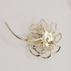 Sarah Coventry Allusions AB Crystal Gold Tone 1968 Clip On Earrings & Brooch Set