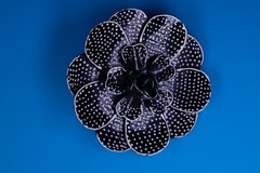 Floral Polka Dot Brooch Pin Gold Tone approx 2.5in Layered Petals Black White