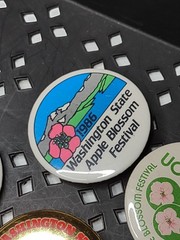 Lot Of 6 Vintage Washington State Apple Blossom Festival Pin Back Buttons