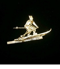 Vintage Ski Skiier Snow Enamel Rhinestone Gold Tone Brooch Pin