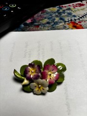 broach and clip earrings vintage