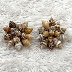 Vintage Sea Shell Jewelry Set Brooch Clip On Earrings Beach Mermaid