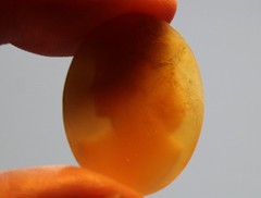 3 Antique Loose Shell Cameo With Warm Peach & White Tones LOT