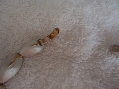 Vintage 16.5″ Link Choker, Brushed Silver Tone with Gold Tone Accents