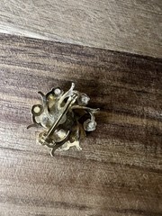 Vintage Gold Tone White and Green Floral Pin With Faux Pearls