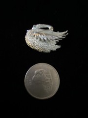 Vintage GERRYS Textured Silver-toned Swan Markasite Eye Brooch