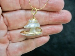 Vintage 1980’s “S” Chain w/Lovely Open Design Shell Slide Necklace