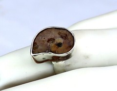 Excellent 450 mil years old Natural Ammonite Fossil .925 Sterling Silver Ring #6