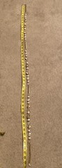 Vtg Miriam Haskell Signed Faux Pearl Lucite Ornate Russian Gold Beaded Necklace