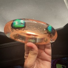 Clear Soft Pink Vtg Beetle Bracelet Translucent Resin,,1960s, NOS(#3) Sm/Med