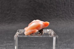 Vintage pink coral OBIDOME “Cherry blossom” Certificate, (56mm (2.20in) 59.0ct).