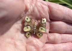 2 Vtg Enameled BUTTERFLY Pins Colorful Butterflies Costume Jewelry Insect Theme