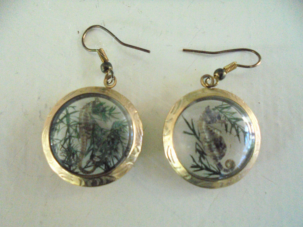 Vintage Seahorse w/ Seaweed Pierced Earrings Dome Bubble Dangle