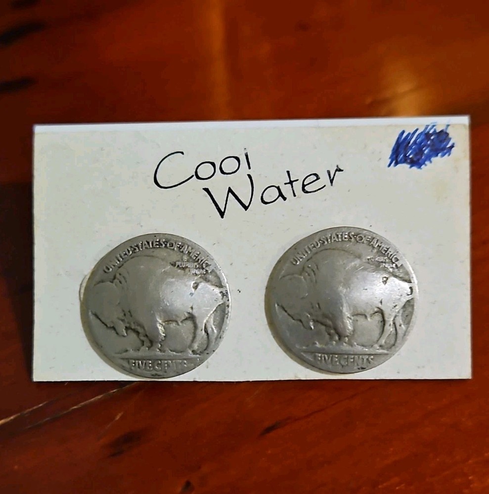 Vintage Buffalo Nickel Pierced Post Earrings