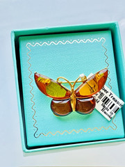 14K Gold Filled Butterfly Genuine Baltic Amber Brooch Vintage Butterscotch 925