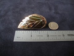 Vintage Leaf w/ Gold Foil Edging Gold Tone Scarf Clip