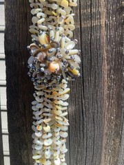 Vintage Statement Necklace Hand Strung Multi Strand Shell Beads Cluster #1