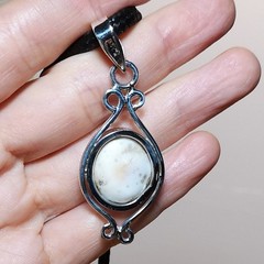 Natural Shiva Eye Shell Sterling Silver Pendant