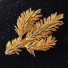 Vintage Gold Tone Pine Branch Brooch Pin Textured Evergreen Needle Nature…