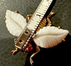 Jomaz Gold and white wings Fruit Salads Bug fly beautiful and rare!!