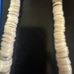 Puka Shell Turquoise Beaded Necklace