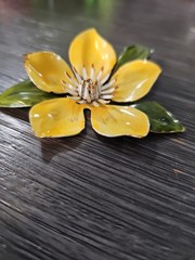 Vintage Brooch 5 Leaf Bloom – No Brand