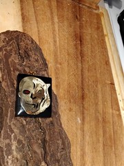 Vintage Bloodred Resin Skull ~Tiger Metamorphosis Pendant