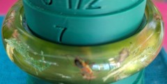 VINTAGE LUCITE BUG ANT INSECT BOTANICAL BANGLE BRACELET ORIG GOLD FOIL STICKER