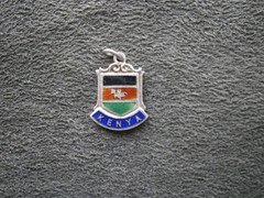 Kenya Africa Vintage Sterling Silver Enamel Travel Shield Bracelet Charm 1.6g