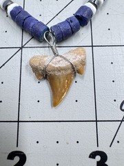 Fossil Shark Tooth 0.65” Possible Sand Tiger Wire Wrapped Blue Shell Necklace