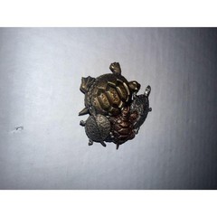 Vintage JJ Jonette Mixed Metal Quadruple Turtle Brooch