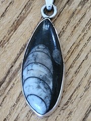 VTG Sterling Silver 925 Orthoceras Fossil Pendant W/ 20″ Rope Chain Necklace
