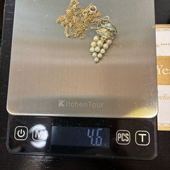 1950s Vintage 12k Yellow Gold Filled Chain + Grapes & Leaves, Wine Party Ready!