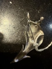 Trifari Pin One Missing Pearl