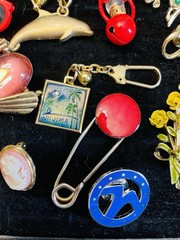Jewelry Lot Brooches Insect Drummer Cameo Dolphin Keyring Swan Kilt Pin 18 Pcs
