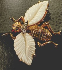 Jomaz Gold and white wings Fruit Salads Bug fly beautiful and rare!!
