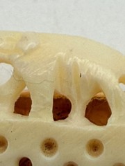 Vintage Paul-Lin Faux Ivory Elephant Bar Tie Carved Celluloid Look