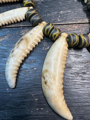 Vintage Nepal Shell Tusk Necklace • Himalayan Tribal Statement Necklace • Handc