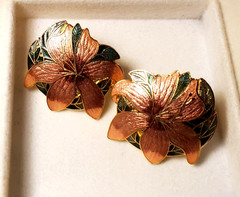 Vintage SG Cloisonne Enamel Stud Earrings and Pendant with 30″ Goldtone Chain