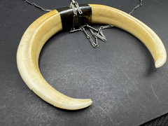 Vintage 19th Century Bear Double Tusk Pendant & Chain